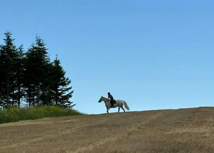 Hébergement de vacances With Sea View At Sejero Bay